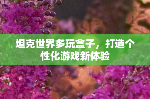 坦克世界多玩盒子，打造个性化游戏新体验