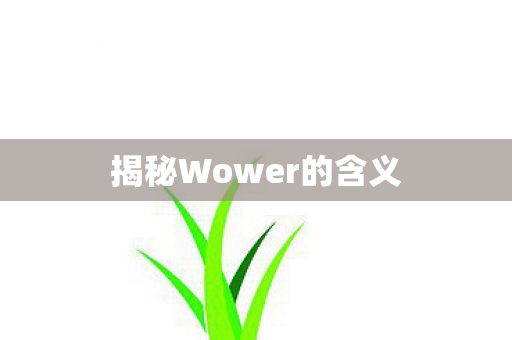 揭秘Wower的含义