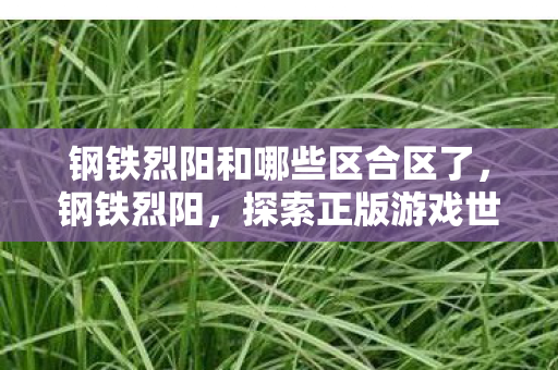 钢铁烈阳和哪些区合区了，钢铁烈阳，探索正版游戏世界的无限可能