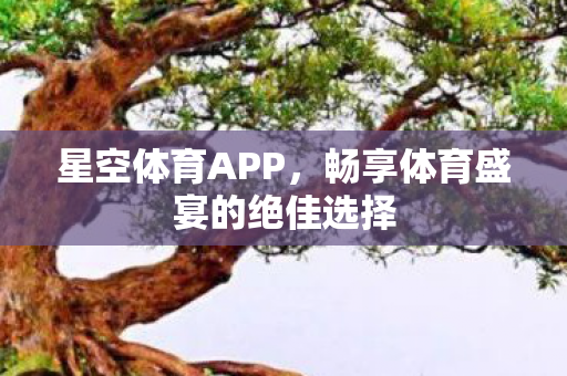 星空体育APP，畅享体育盛宴的绝佳选择