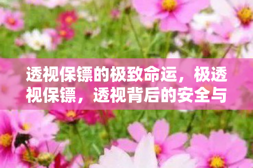 透视保镖的极致命运，极透视保镖，透视背后的安全与隐私保护