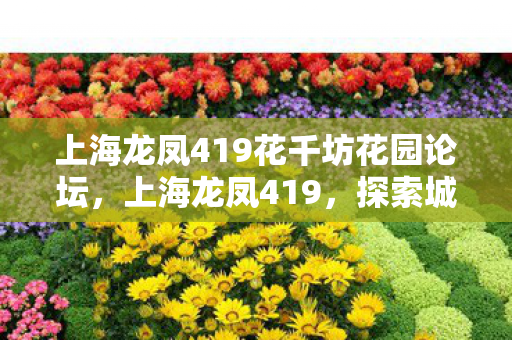 上海龙凤419花千坊花园论坛，上海龙凤419，探索城市隐秘的社交角落