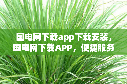 国电网下载app下载安装，国电网下载APP，便捷服务，安全高效