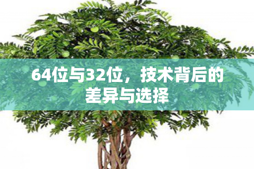 64位与32位，技术背后的差异与选择
