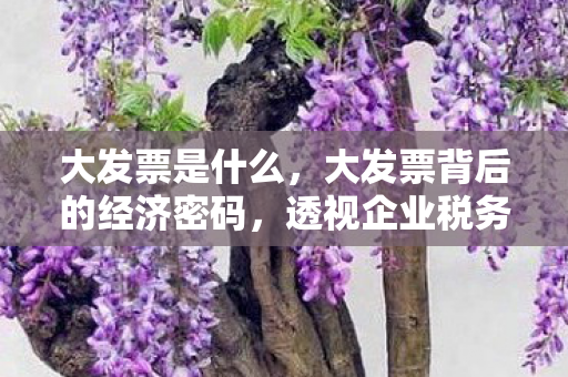 大发票是什么，大发票背后的经济密码，透视企业税务合规与成本控制