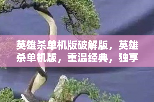 英雄杀单机版破解版，英雄杀单机版，重温经典，独享策略对决的乐趣