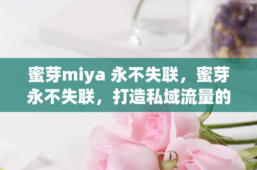 蜜芽miya 永不失联,蜜芽永不失联,打造私域流量的稳定基石 蜜芽miya 永不失联,蜜芽永不失联,打造私域流量的稳定基石