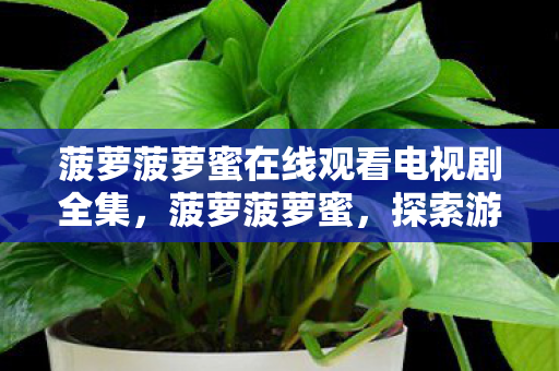 菠萝菠萝蜜在线观看电视剧全集，菠萝菠萝蜜，探索游戏世界的奇妙之旅