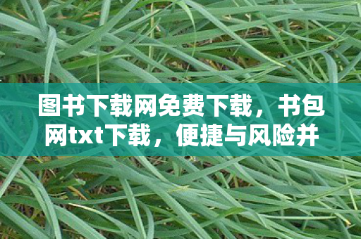 图书下载网免费下载,书包网txt下载,便捷与风险并存的网络文学阅读体验 图书下载网免费下载,书包网txt下载,便捷与风险并存的网络文学阅读体验