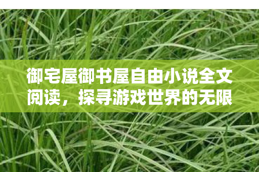 御宅屋御书屋自由小说全文阅读,探寻游戏世界的无限可能,私服与官方服务器的独特魅力 御宅屋御书屋自由小说全文阅读,探寻游戏世界的无限可能,私服与官方服务器的独特魅力