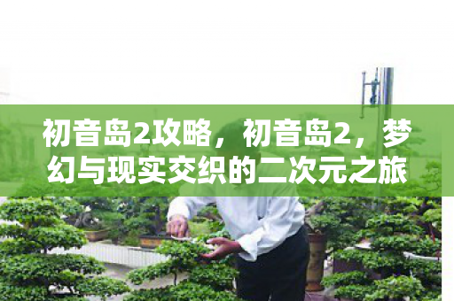 初音岛2攻略，初音岛2，梦幻与现实交织的二次元之旅