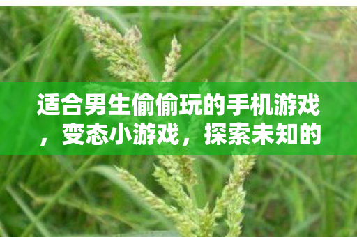 适合男生偷偷玩的手机游戏，变态小游戏，探索未知的乐趣与风险