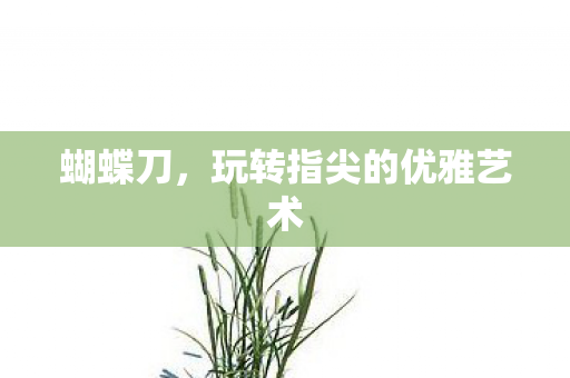 蝴蝶刀,玩转指尖的优雅艺术 蝴蝶刀,玩转指尖的优雅艺术