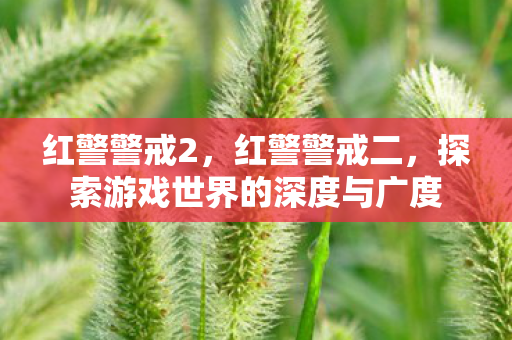 红警警戒2,红警警戒二,探索游戏世界的深度与广度 红警警戒2,红警警戒二,探索游戏世界的深度与广度
