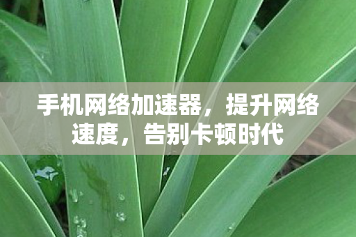 手机网络加速器,提升网络速度,告别卡顿时代 手机网络加速器,提升网络速度,告别卡顿时代