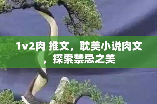 1v2肉 推文，耽美小说肉文，探索禁忌之美