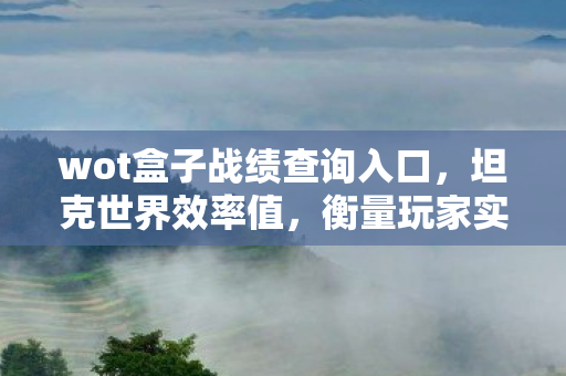 wot盒子战绩查询入口，坦克世界效率值，衡量玩家实力的新标杆