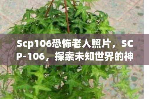Scp106恐怖老人照片，SCP-106，探索未知世界的神秘入口