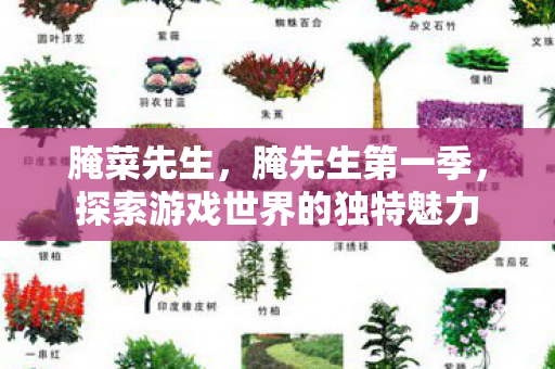 腌菜先生，腌先生第一季，探索游戏世界的独特魅力