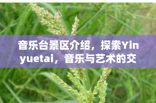 音乐台景区介绍，探索Yinyuetai，音乐与艺术的交汇点
