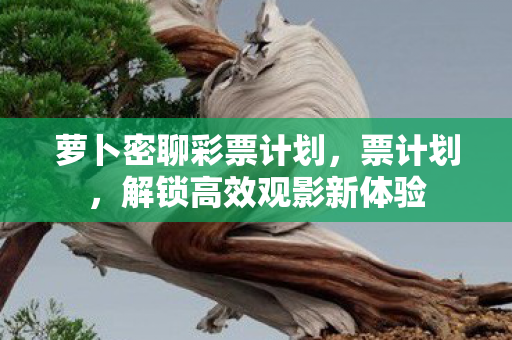 萝卜密聊彩票计划，票计划，解锁高效观影新体验