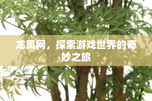 龙凤网，探索游戏世界的奇妙之旅