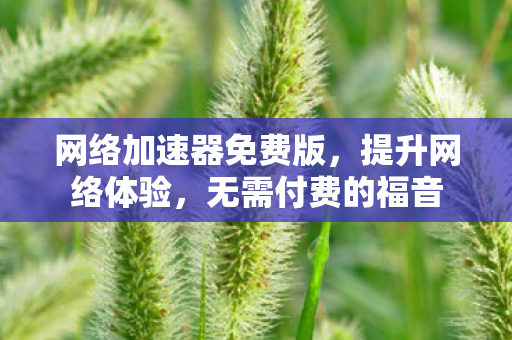 网络加速器免费版，提升网络体验，无需付费的福音