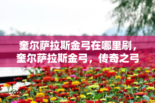 奎尔萨拉斯金弓在哪里刷，奎尔萨拉斯金弓，传奇之弓的辉煌与传奇