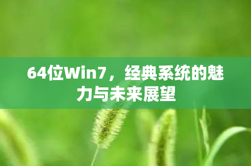 64位Win7，经典系统的魅力与未来展望