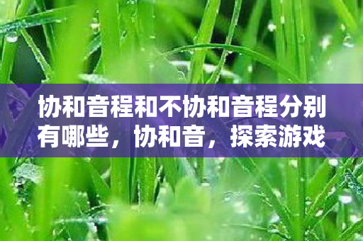 协和音程和不协和音程分别有哪些，协和音，探索游戏世界的多元体验