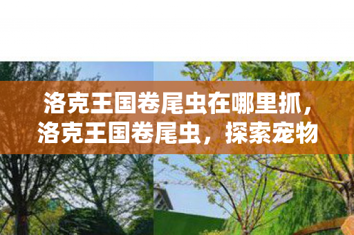 洛克王国卷尾虫在哪里抓，洛克王国卷尾虫，探索宠物小精灵的奇妙世界