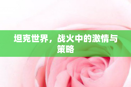 坦克世界，战火中的激情与策略