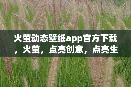 火萤动态壁纸app官方下载，火萤，点亮创意，点亮生活