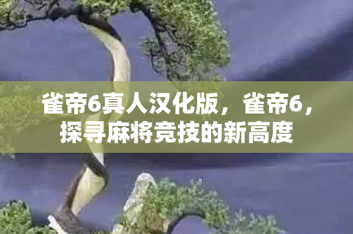 雀帝6真人汉化版，雀帝6，探寻麻将竞技的新高度