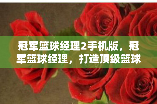 冠军篮球经理2手机版，冠军篮球经理，打造顶级篮球队伍的秘诀