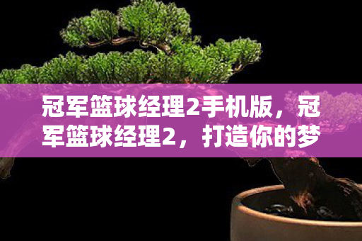 冠军篮球经理2手机版，冠军篮球经理2，打造你的梦幻篮球帝国