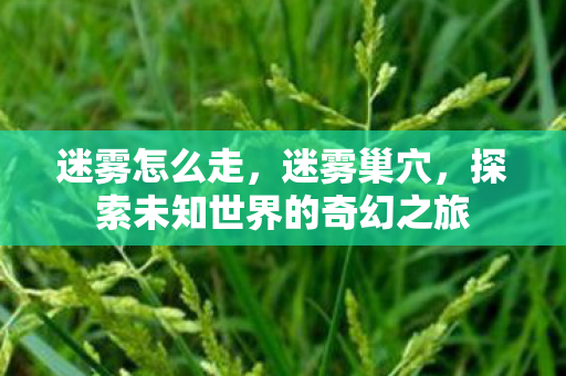 迷雾怎么走，迷雾巢穴，探索未知世界的奇幻之旅