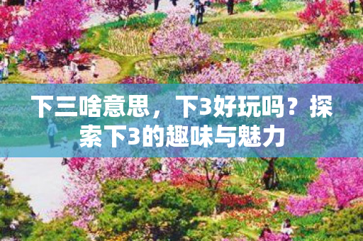 下三啥意思，下3好玩吗？探索下3的趣味与魅力