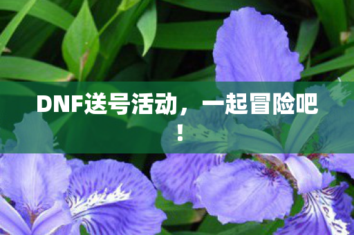 DNF送号活动，一起冒险吧！