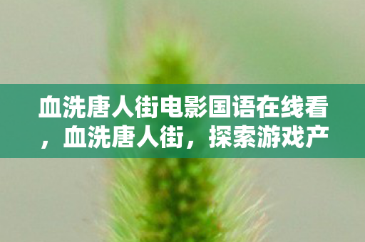 血洗唐人街电影国语在线看，血洗唐人街，探索游戏产业背后的文化冲突与商业博弈