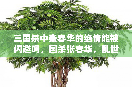 三国杀中张春华的绝情能被闪避吗，国杀张春华，乱世中的智谋与坚韧