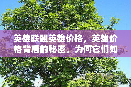 英雄联盟英雄价格，英雄价格背后的秘密，为何它们如此昂贵？