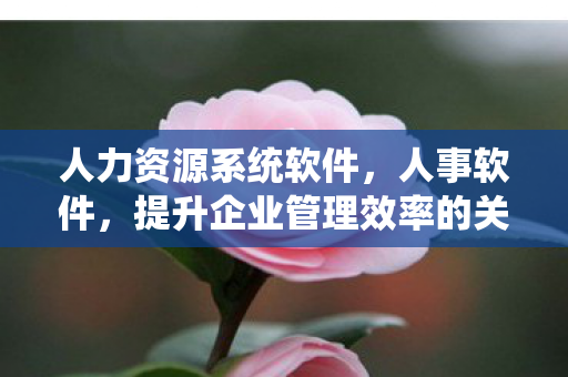人力资源系统软件，人事软件，提升企业管理效率的关键工具