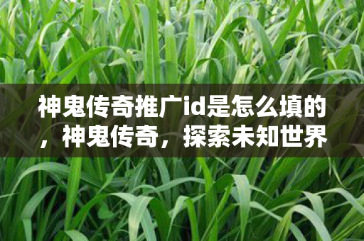 神鬼传奇推广id是怎么填的，神鬼传奇，探索未知世界的奇幻之旅