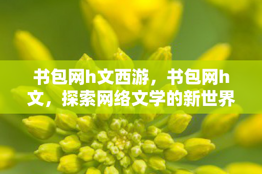 书包网h文西游，书包网h文，探索网络文学的新世界