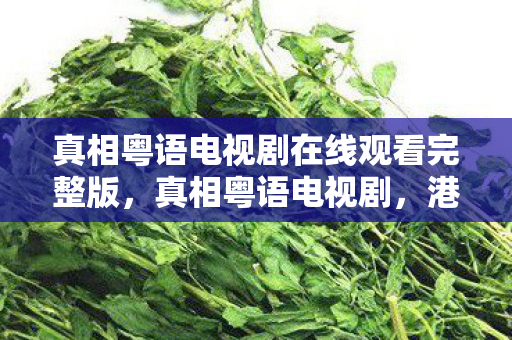 真相粤语电视剧在线观看完整版，真相粤语电视剧，港剧经典再现，情感与悬疑交织的视听盛宴