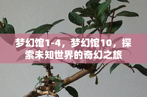 梦幻馆1-4，梦幻馆10，探索未知世界的奇幻之旅