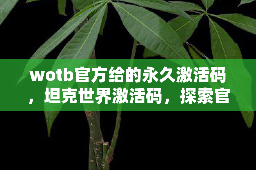 wotb官方给的永久激活码，坦克世界激活码，探索官方授权的无限可能