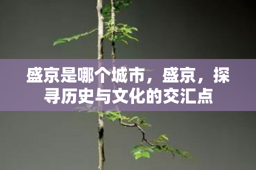盛京是哪个城市，盛京，探寻历史与文化的交汇点