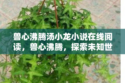 兽心沸腾汤小龙小说在线阅读，兽心沸腾，探索未知世界的奇幻之旅